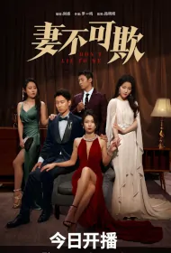 Don't Lie to Me Poster, 妻不可欺 2023 Chinese TV drama series