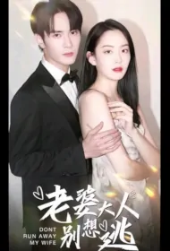 Don't Run Away My Wife Poster, 老婆大人别想逃 2023 Chinese TV drama series