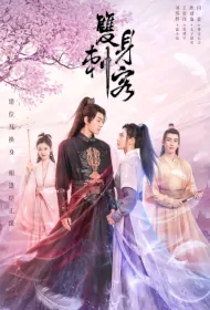 Double Assassin Poster, 双身刺客 2023 Chinese TV drama series