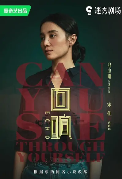 Echo Poster, 回响 2023 Chinese TV drama series