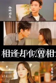 Encounter but Seem to Have Known Each Other Poster, 相逢却似曾相识 2023 Chinese TV drama series