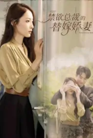 Flash Marriage Test Love Poster, 闪婚试爱：慕总的天价影后  2023 Chinese TV drama series