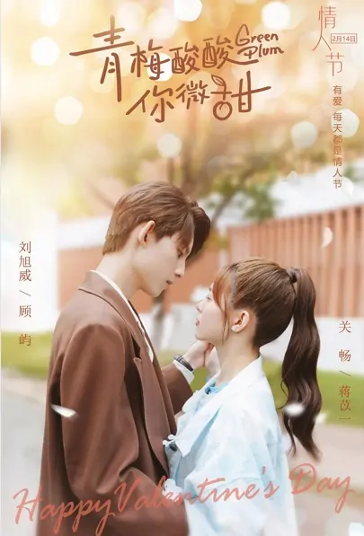 Green Plum Poster, 青梅酸酸你微甜 2023 Chinese TV drama series