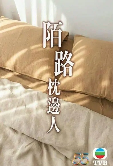 In Bed with Stranger Poster, 陌路枕邊人 2023 Hong Kong TV drama series, Hong Kong drama