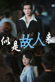 It Seems Like an Old Friend Has Come Poster, 似是故人来 2023 Chinese TV drama series