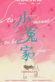 It's Meant to Be You Poster, 小冤家 2023 Chinese TV drama series