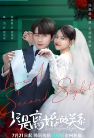 Love at Second Sight Poster, 只是离婚的关系 2023 Chinese TV drama series