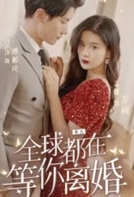 Madam, the Whole World Is Waiting for Your Divorce Poster, 夫人，全球都在等你离婚 2023 Chinese TV drama series