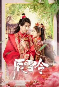 Marriage Badge Poster, 辰雪令 2023 Chinese TV drama series