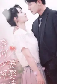 Marry a General Poster, 奈何少将要娶我 2023 Chinese TV drama series