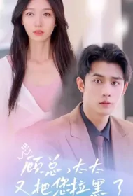 Mr. Gu, Mrs Has Blocked You Again Poster, 顾总，太太又把你拉黑了 2023 Chinese TV drama series