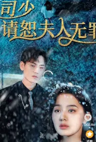 Mr. Si, Please Forgive Madam as Not Guilty Poster, 司少,请饶恕夫人无罪 2023 Chinese TV drama series
