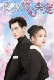Mr. Ye's Favorite Poster, 夜少的心尖宠 2023 Chinese TV drama series