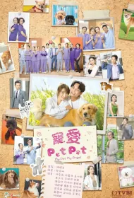 My Pet My Angel Poster, 寵愛Pet Pet 2023 Chinese TV drama series