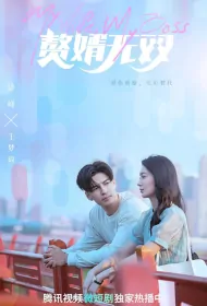 My Wife, My Boss Poster, 赘婿无双 2023 Chinese TV drama series