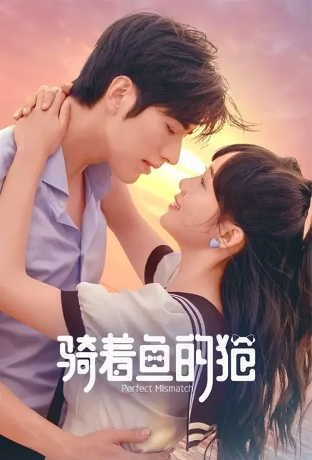 Perfect Mismatch Poster, 骑着鱼的猫 2023 Chinese TV drama series