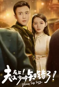 Please Say Sorry Poster, 夫人在上少帅知错了 2023 Chinese TV drama series