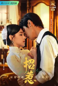 Provoke Poster, 招惹 2023 Chinese TV drama series
