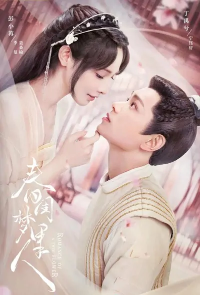 Romance of a Twin Flower Poster, 春闺梦里人 2023 Chinese TV drama series