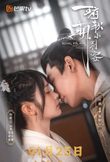 Royal Palace Cute Little Assassin Poster, 王府软萌小刺客 2023 Chinese TV drama series