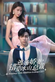 Runaway Wife Misloves Iceberg CEO Poster, 逃婚娇妻错爱冰山总裁 2023 Chinese TV drama series