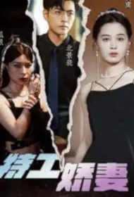 Secret Agent Beautiful Wife Poster, 特工娇妻 2023 Chinese TV drama series