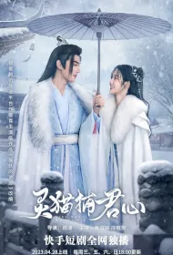 Soul Cat Catches the Lord's Heart Poster, 灵猫捕君心 2023 Chinese TV drama series