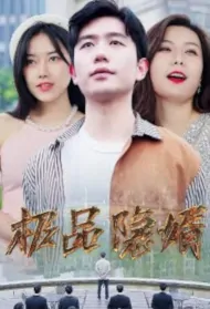 The Best Hidden Son-in-Law Poster, 极品隐婿 2023 Chinese TV drama series