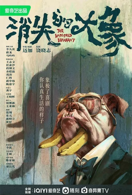 The Vanished Elephant Poster, 消失的大象 2023 Chinese TV drama series