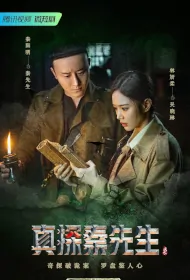 True Detective Mr. Qin Poster, 真探秦先生 2023 Chinese TV drama series