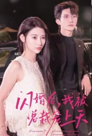 Unexpected Marriage and Excessive Doting Poster, 闪婿后我被总裁老公宠上天 2023 Chinese TV drama series