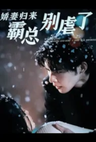 Wife Returns, Domineering CEO Don't Hurt Her Anymore Poster, 娇妻归来，霸总别虐了 2023 Chinese TV drama series