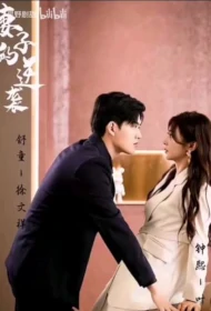 Wife's Counterattack Poster, 妻子的逆袭 2023 Chinese TV drama series