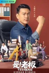 Yes! Boss Poster, 是！老板 2023 Chinese TV drama series