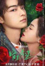 You Complete Me Poster, 暗里着迷 2023 Chinese TV drama series