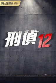 Criminal Investigation 12 Poster, 刑偵12 2024 Hong Kong TV drama series, HK drama