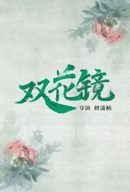 Double Flower Mirror Poster, 双花镜 2024 Chinese TV drama series