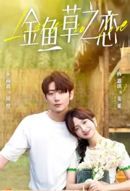 Liars in Love Poster, 金鱼草之恋 2024 Chinese TV drama series