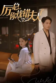 Mr. Li, You Found the Wrong Wife Poster, 厉总你找错夫人了 2024 Chinese TV drama series