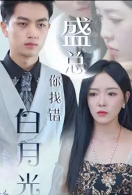 Mr. Sheng, You Found the Wrong White Moonlight Poster, 盛总你找错白月光了 2024 Chinese TV drama series