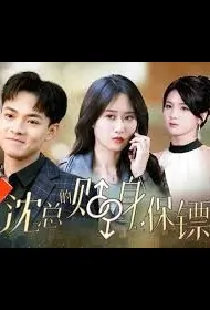 Mr. Shen's Personal Bodyguard Poster, 沈总的贴身保镖 2024 Chinese TV drama series