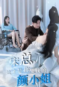 Mr. Song, She Is the Miss Yan You Are Looking for Poster, 宋总,她才是你要找的颜小姐 2024 Chinese TV drama series