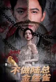 Plaything in Hand Poster, 掌中玩物之不做陆总金絲雀 2024 Chinese TV drama series