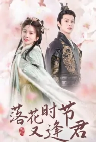 See You Again in the Season of Falling Flowers Poster, 落花时节又逢君 2024 Chinese TV drama series