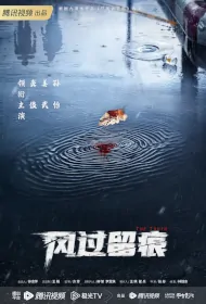 The Truth Poster, 风过留痕 2024 Chinese TV drama series