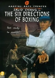 The Six Directions of Boxing