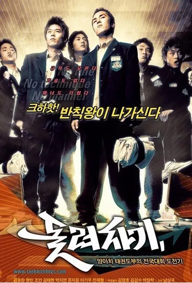 Spin Kick movie poster, 2004 film