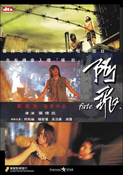 Fate Movie Poster, 2008, Actress: Miki Yeung Oi-Gan, Hong Kong Film