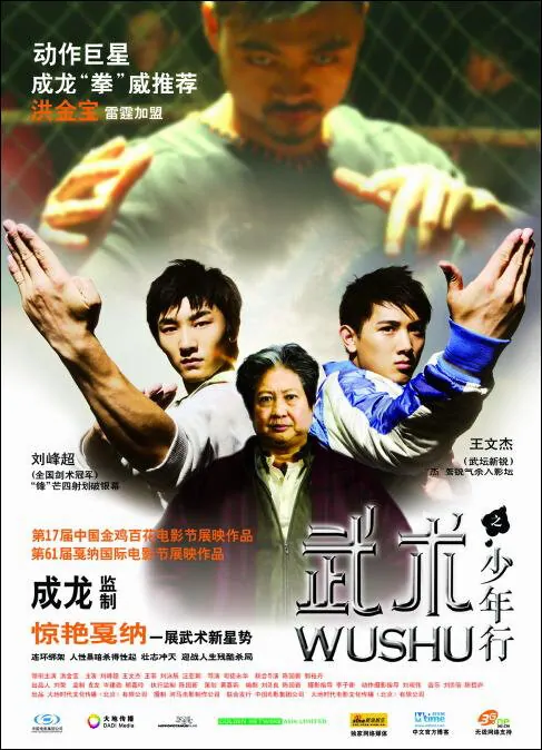 Wushu Movie Poster, 2008, Actor: Sammo Hung Kam-Bo, Hong Kong Film