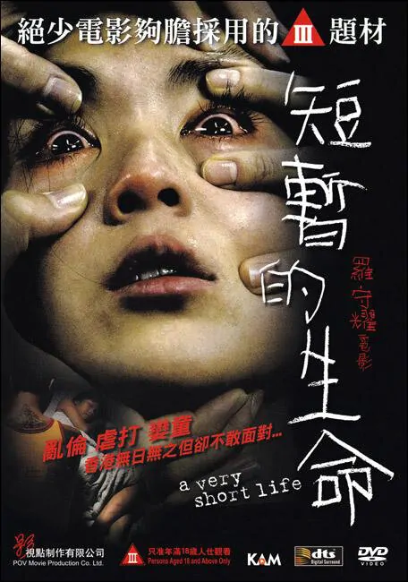 A Very Short Life Movie Poster,2009 Chinese film